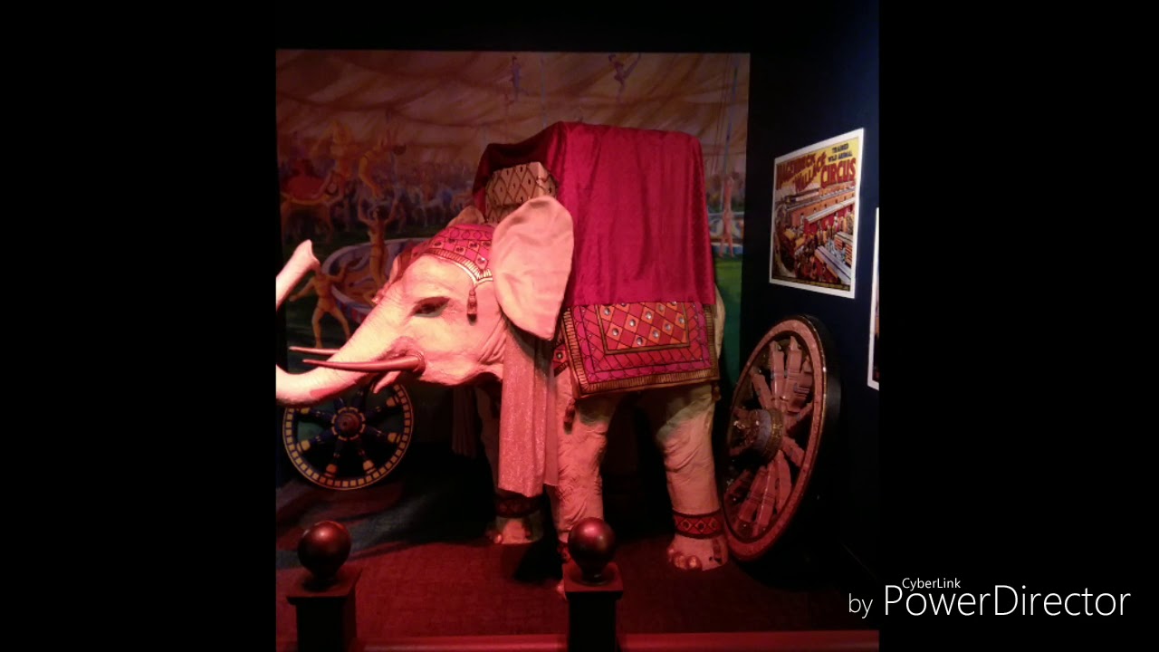 The Museum  of Science and Industry #chicago #sciencemuseum #museumofscienceandindustry