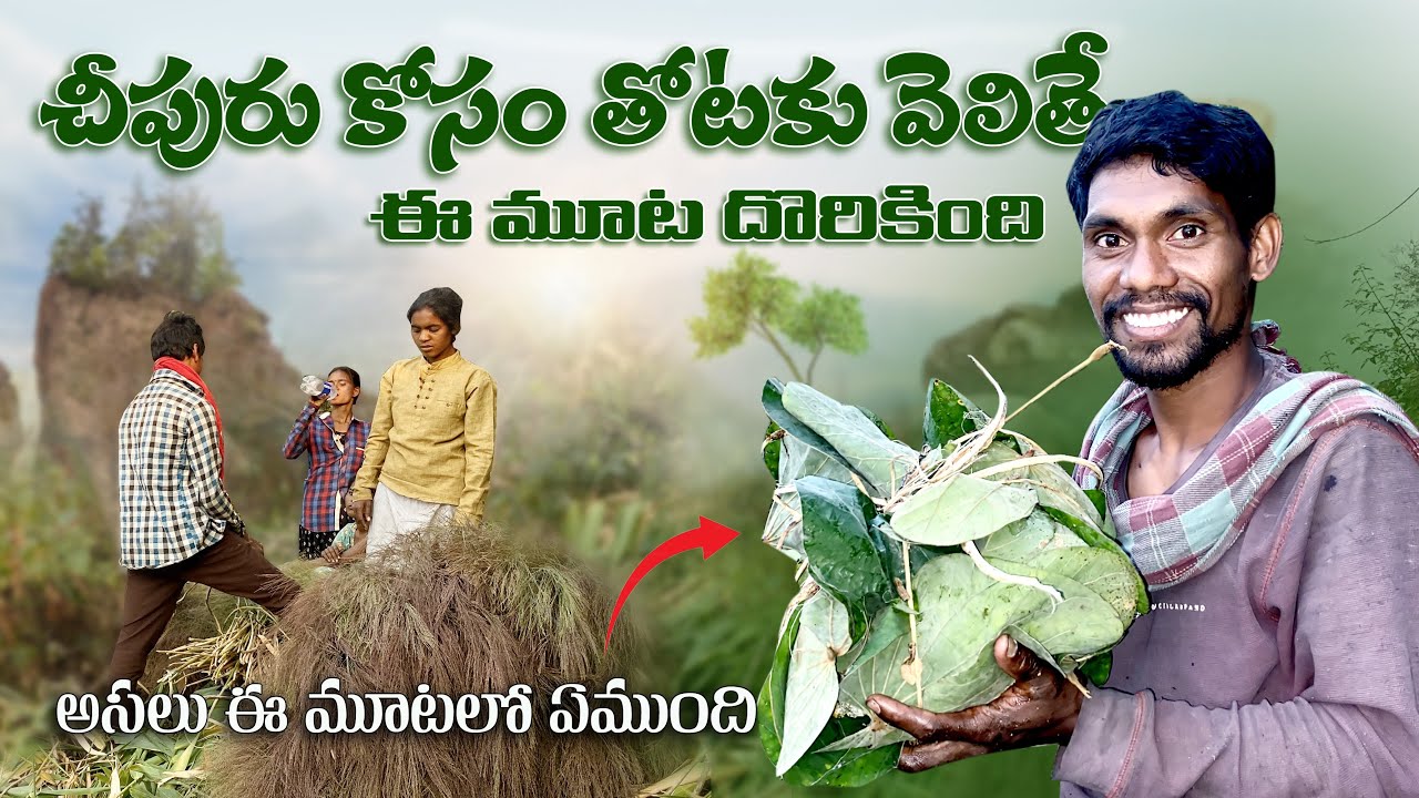 చీపురులు కోసం వెళితే ఈ మూట దొరికింది _tribal vlogger appu
