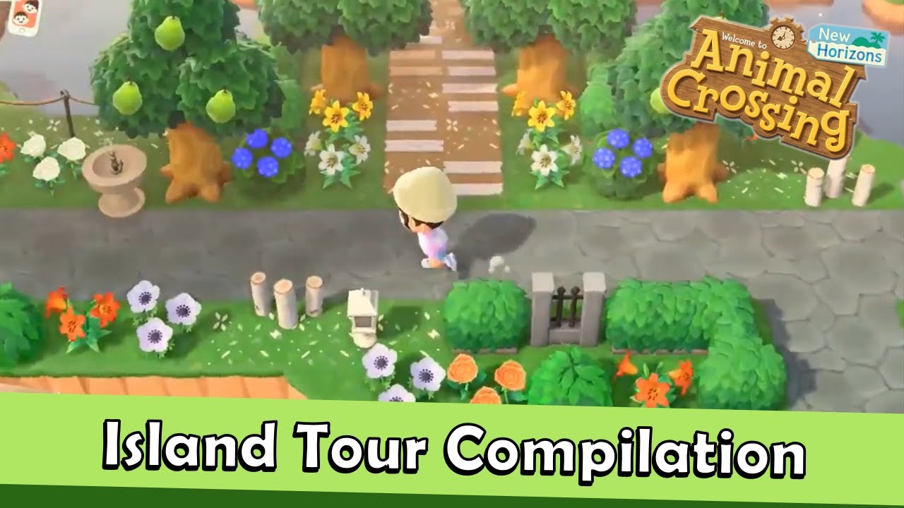Island Inspiration! Island Tours #16