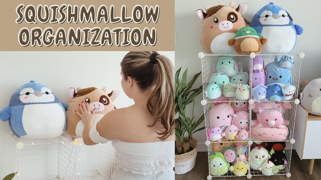 Come organize my Squishmallows with me! | SQUISHMALLOW ORGANIZATION 2021