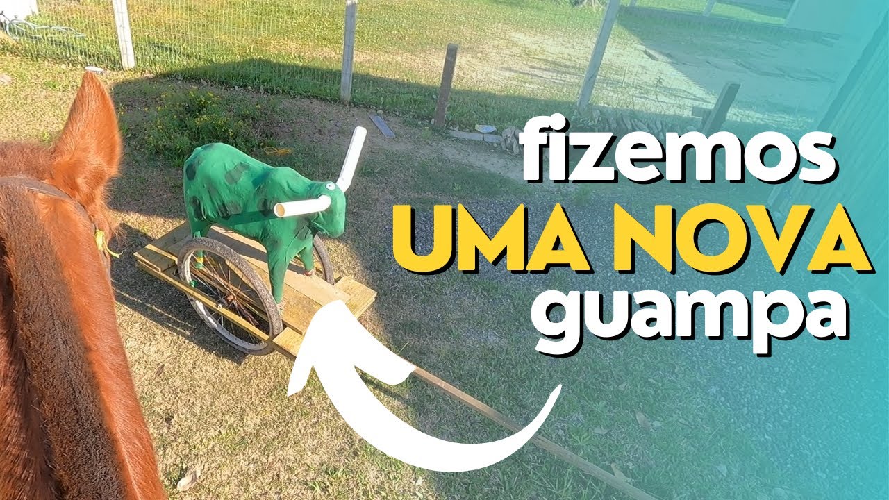 VACA COM GUAMPA GIGANTE???