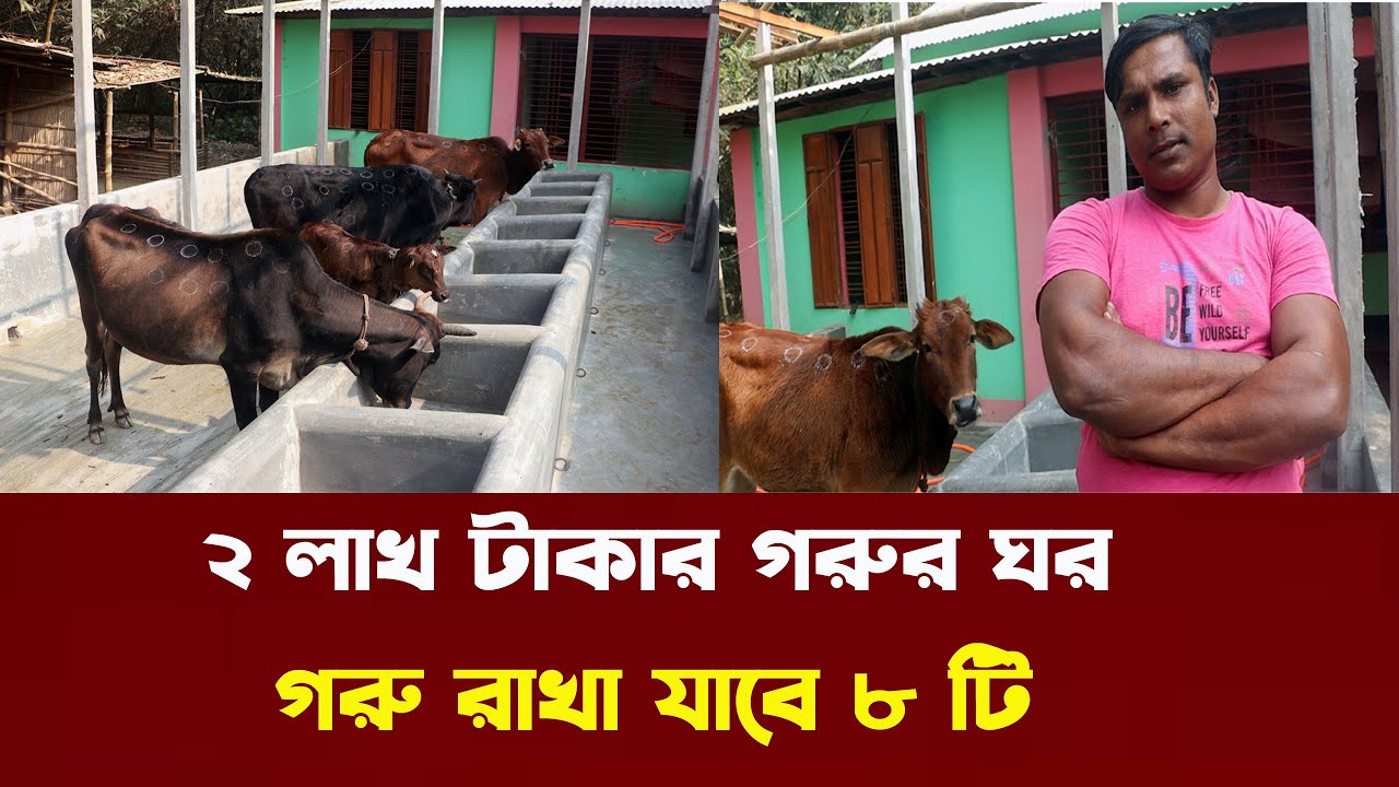 ২ লাখ টাকায় পরিপূর্ণ গরুর ঘর তৈরি | Gorur Ghor | Nibir Krishi 