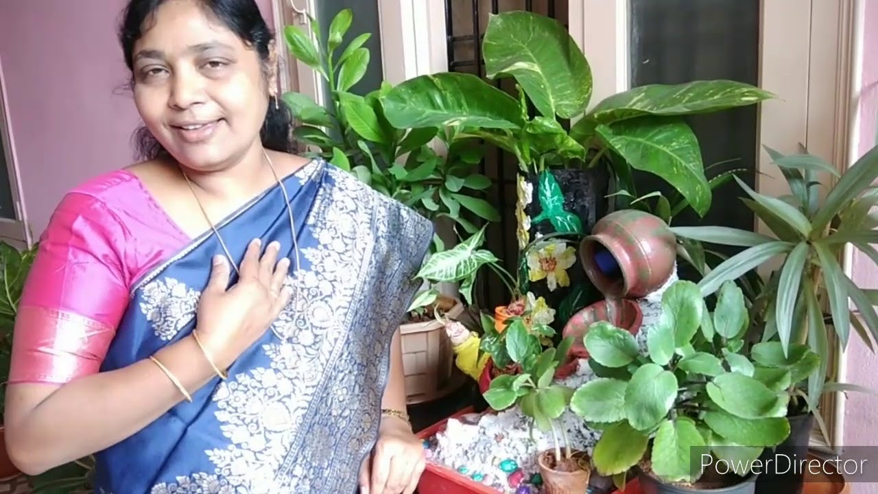 Neetho nenu nadavalani song by estherakka
