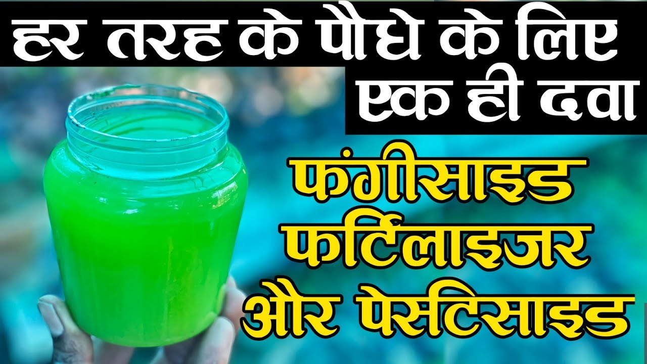 हर तरह के पौधे के लिए एक ही दवा फंगीसाइड फर्टिलाइजर और पेस्टिसाइड | Benefits of Aloe vera Plant