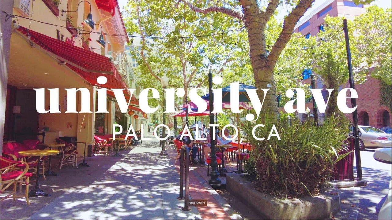 downtown | palo alto, ca | august 2023