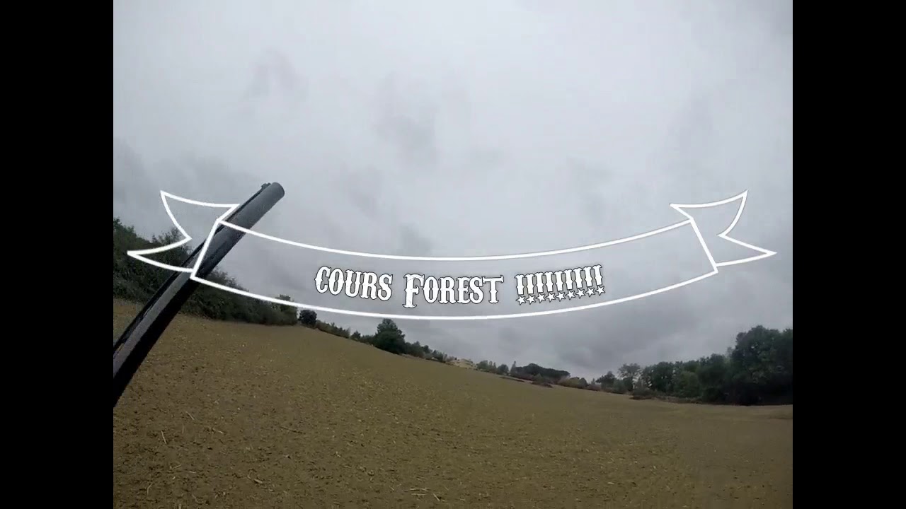 Chasse à la palombe