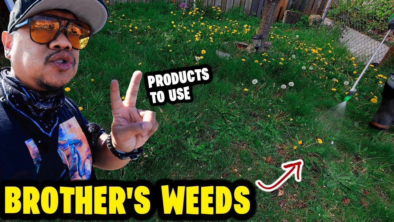 2 products I use to kill and control my Brother's WEEDS!