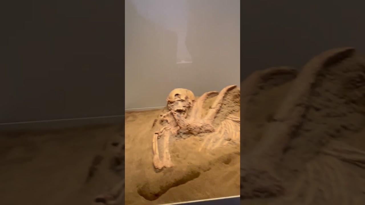 Bible Museum- Jerusalem 2