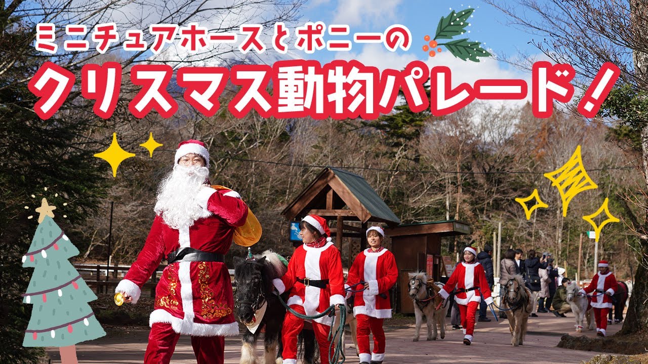 クリスマス動物パレード開催中🎄