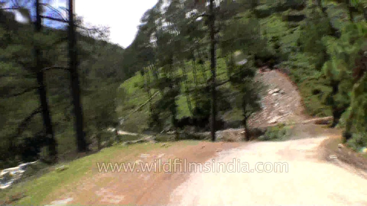 India-China-Nepal border road washed away in Uttarakhand flood