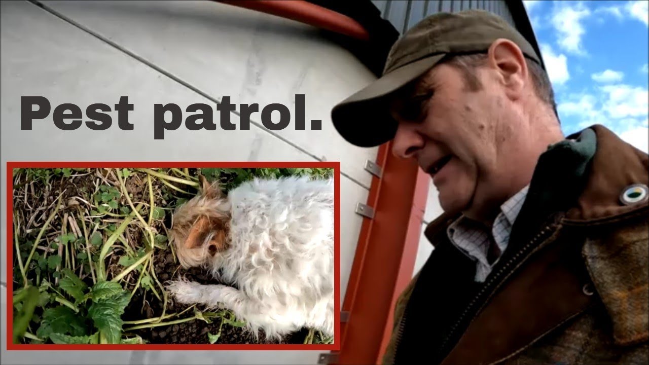04/01/26  Pest patrol at Tother farm!