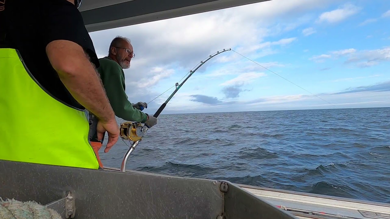 Cape Cod Tuna 2021
