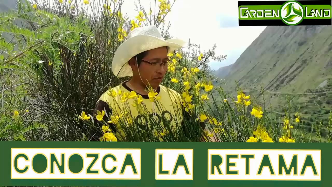 LA RETAMA / Garden Land Huancayo
