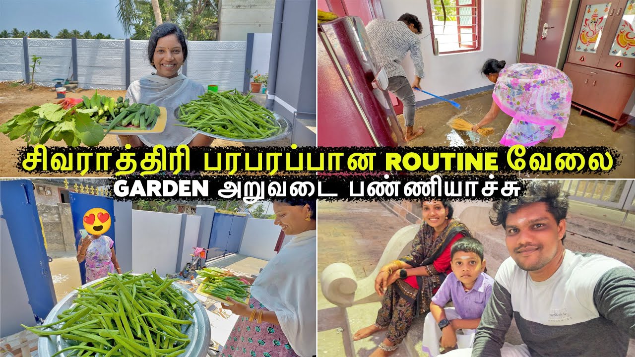 பரபரப்பான Routine வேலை 🤣| எங்க தோட்டத்தில் Harvest பண்ணியாச்சு 😱| Vinoth Seetha