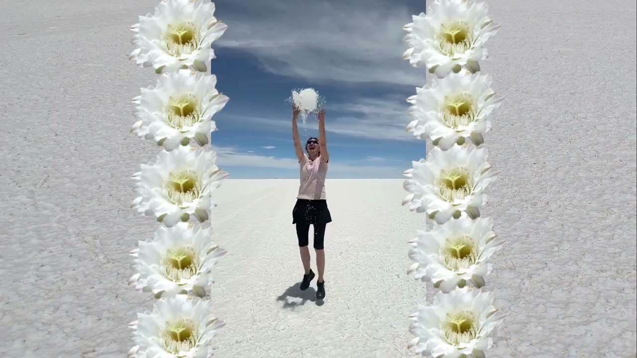SALAR DE UYUNI - Bolivia - South America - part 16