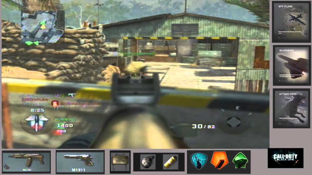 Black Ops - TDM on Firing Range (shootemup89)
