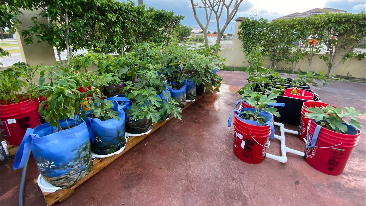 Rain Gutter Grow System: Easy to Use Self Watering Garden