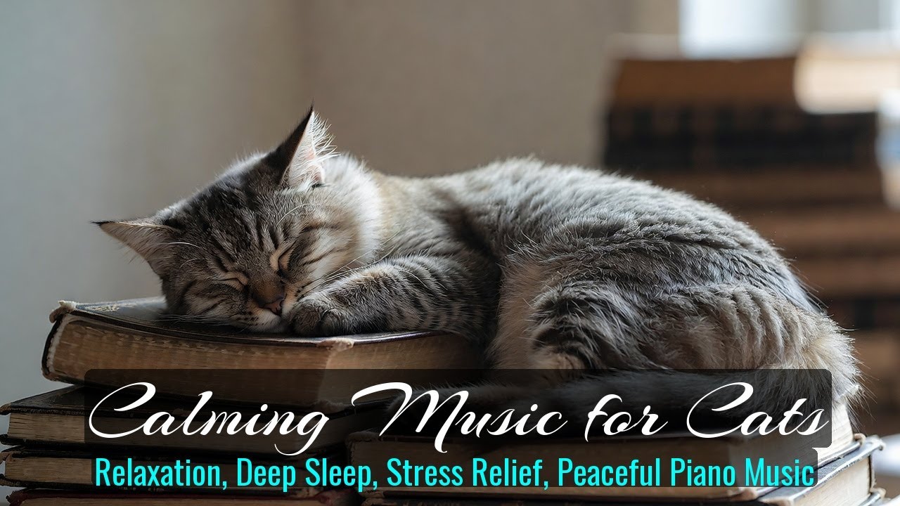 Calming Music for Cats - Relaxation, Deep Sleep, Stress Relief, Peaceful Piano Music | Season 43