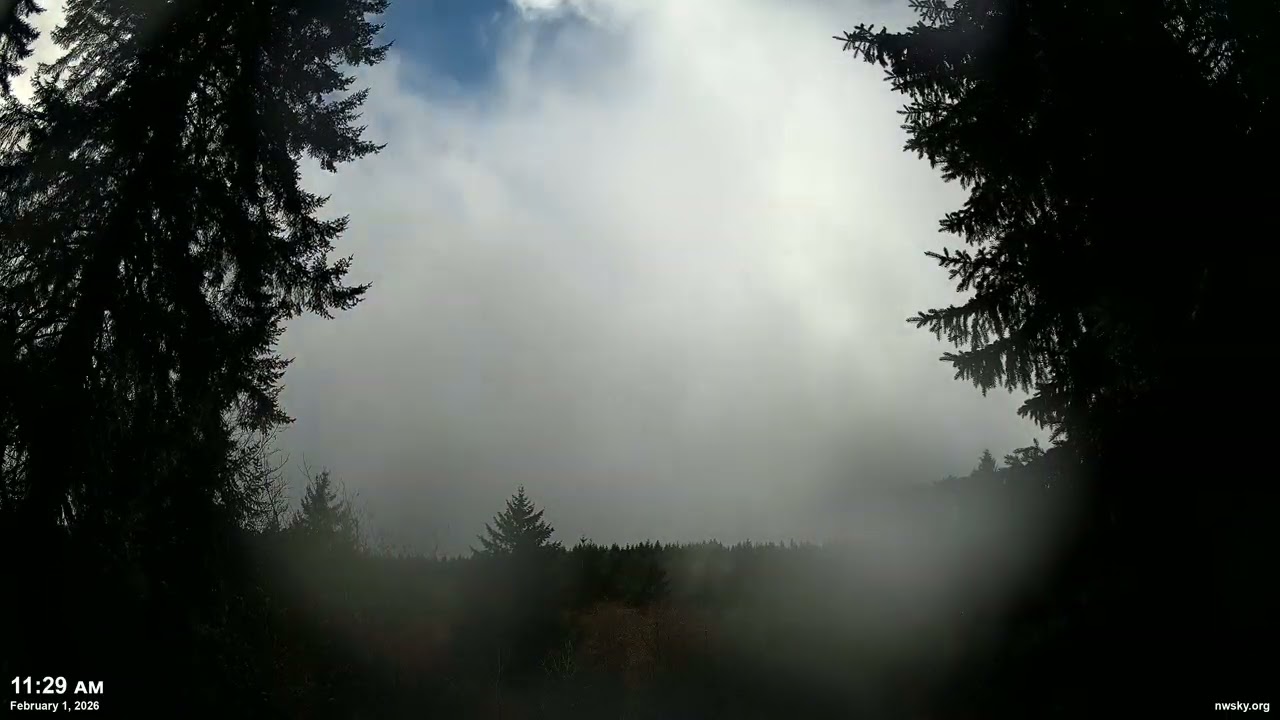 February 1, 2026 - Cloudy Pacific Northwest Skyscape Timelapse Video | 4K 60fps