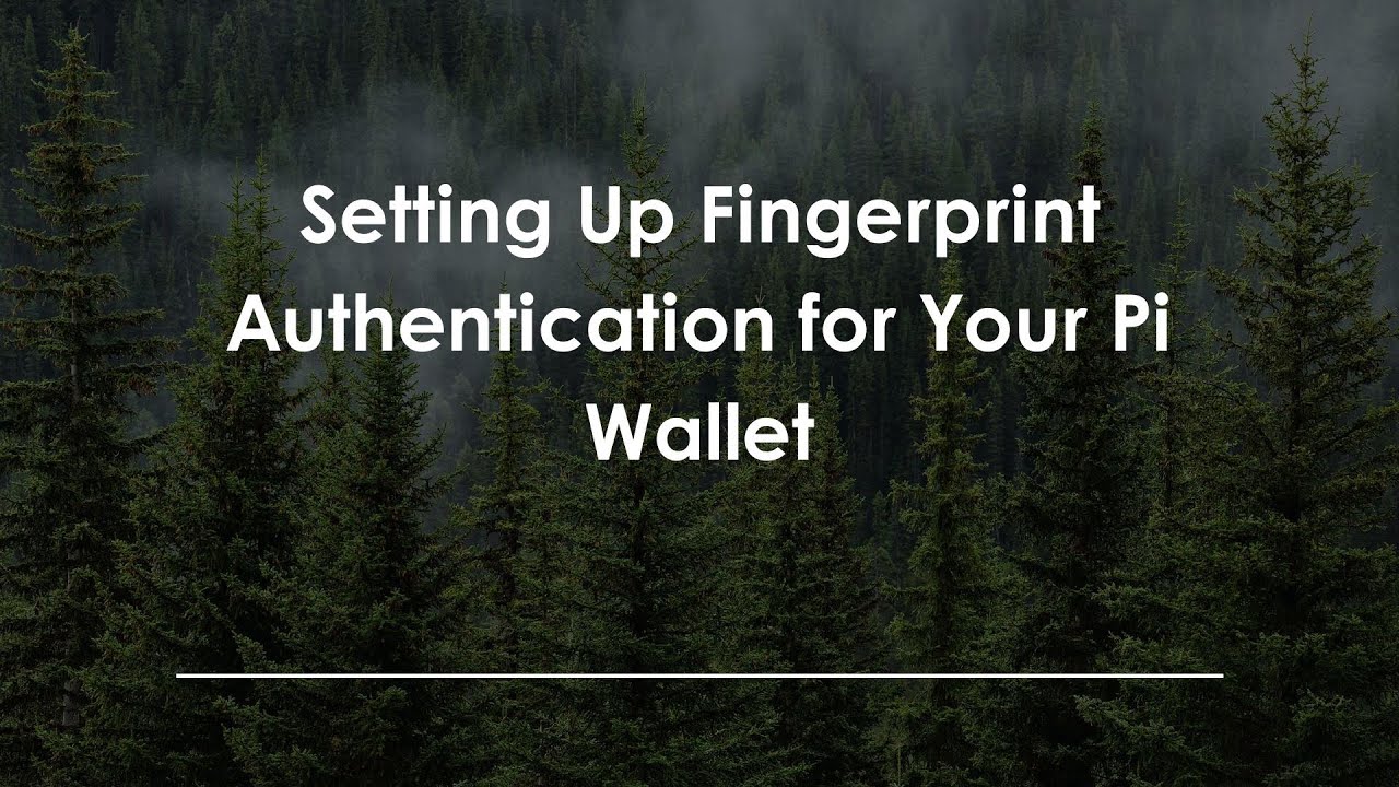 Setting Up Fingerprint Authentication for Your Pi Wallet
