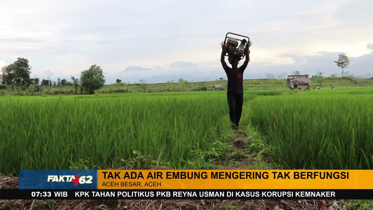 Perjuangan Petani Mengairi Persawahan Di Aceh Besar, Aceh - Fakta +62