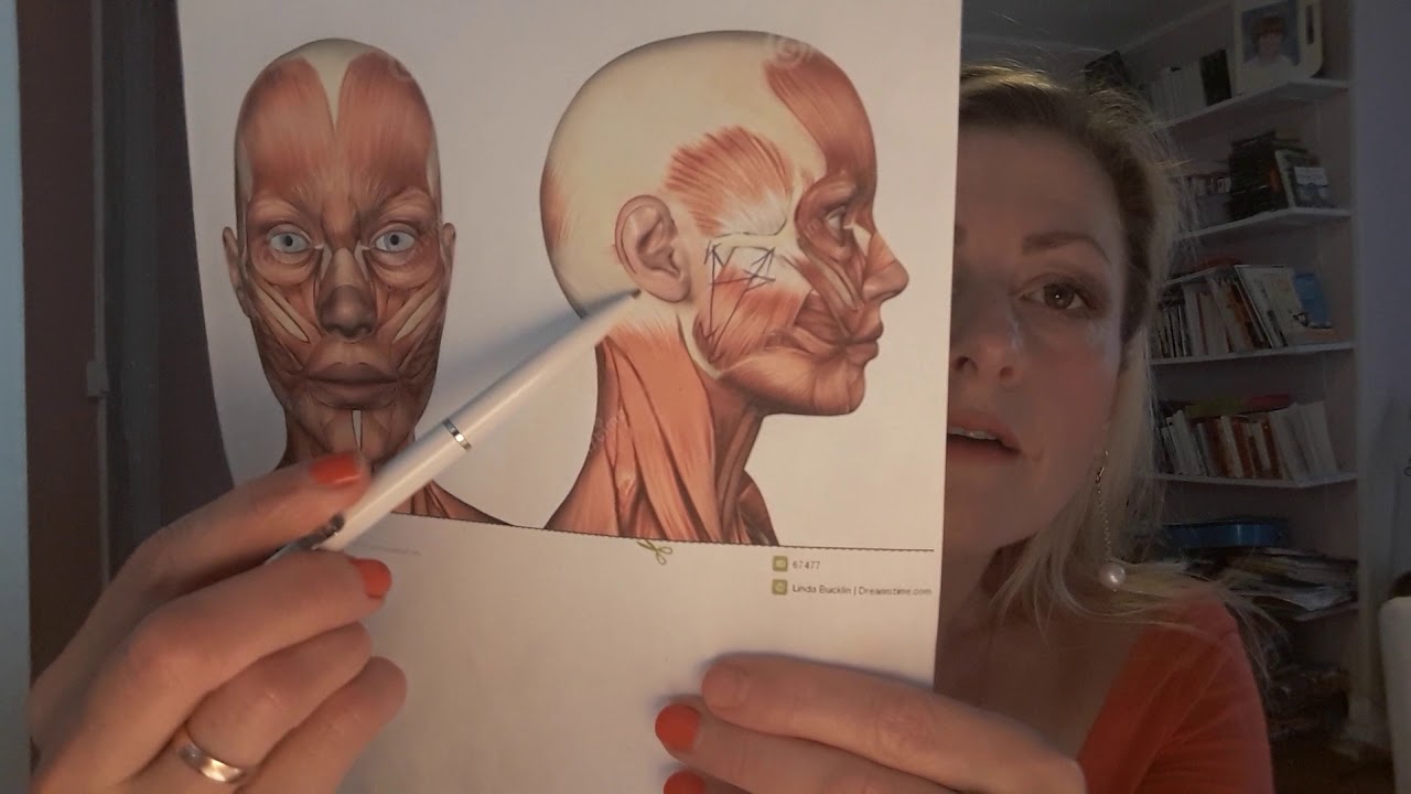 Le cou, les yeux et le muscle Sterno-cléido-mastoïdien :