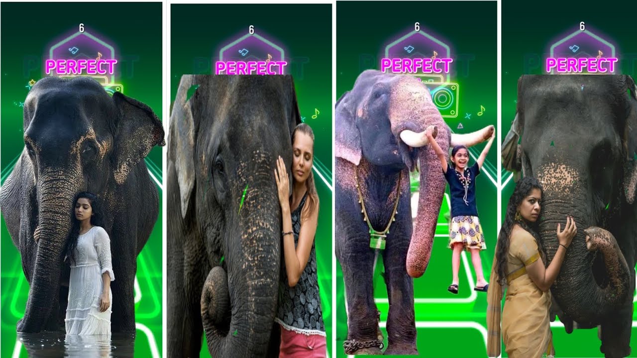 Tiles Hop - Elephant 🆚 Mammoth 🆚 Funny Elephant 🆚 Elephant 🎶 Tiles Hop EDM Rush