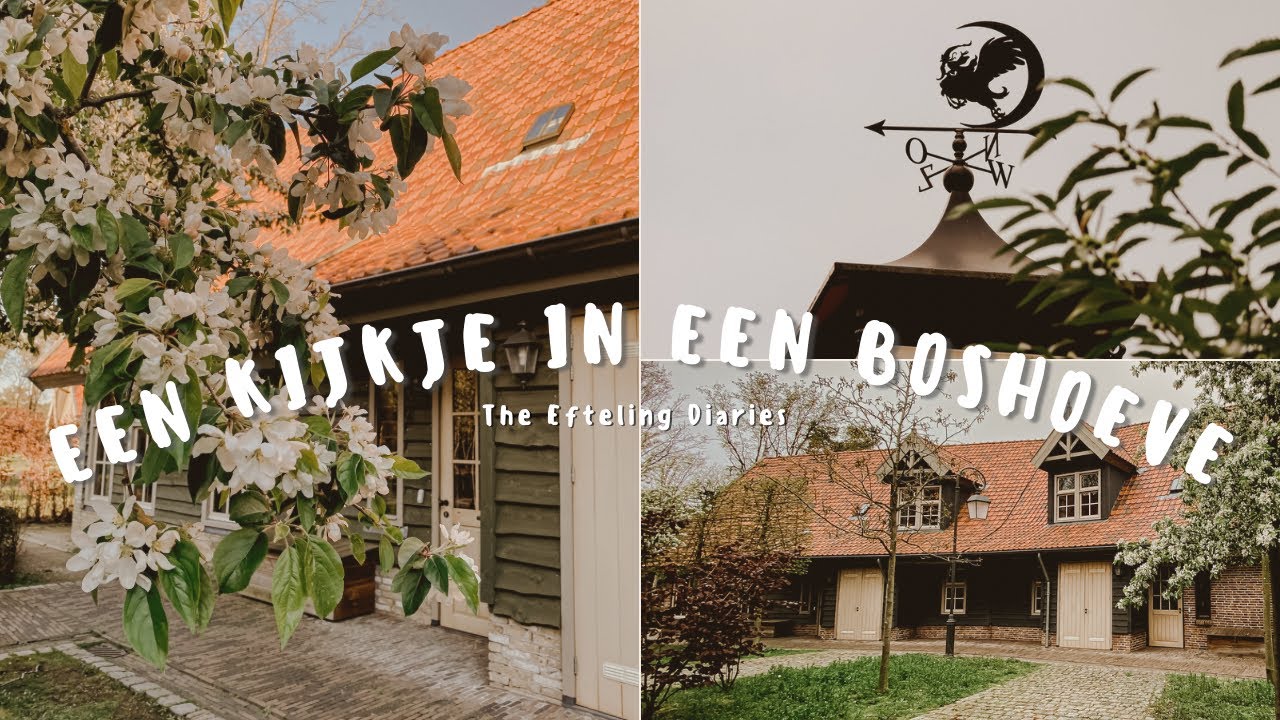 Efteling Bosrijk: Een kijkje in een boshoeve (12-persoons huisje)