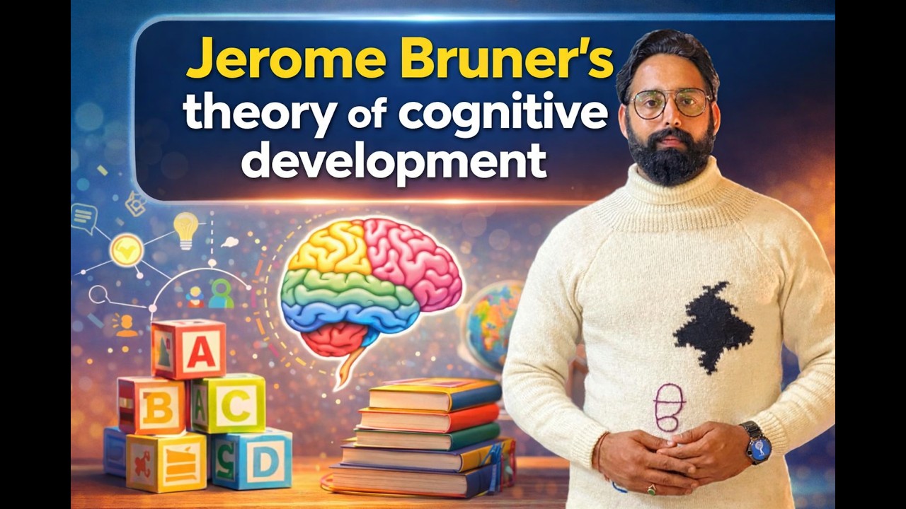 Jerome Bruner’s theory of cognitive development || PSTET Physical Education || CDP  || DPE ||