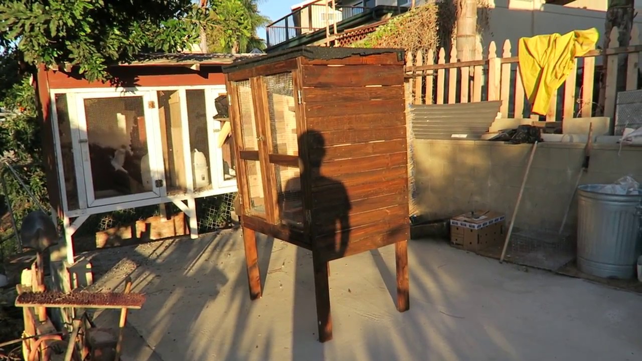 Cheap $50 kit Box for pigeons from pallet wood
