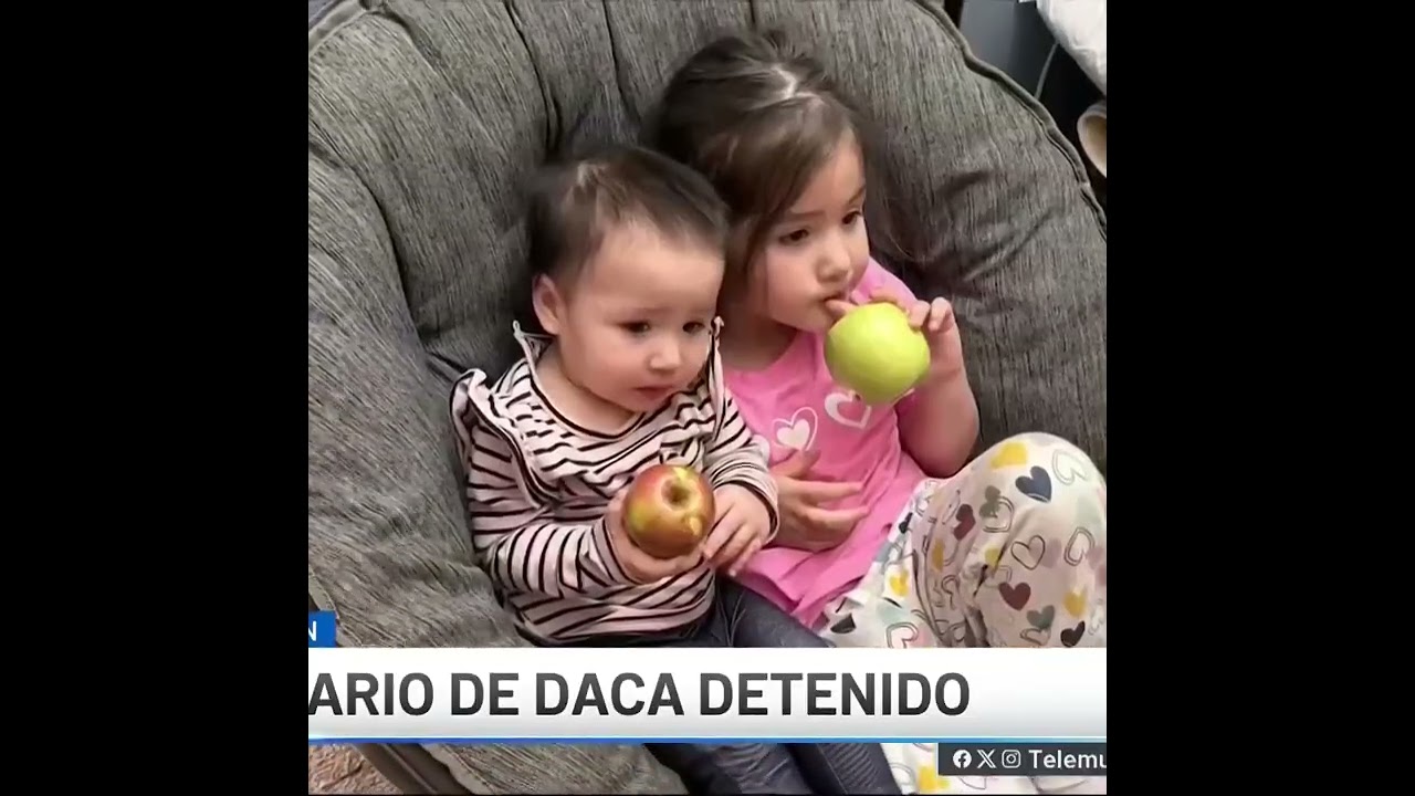 Detienen en Arizona a beneficiario de DACA de San Diego | TELEMUNDO SAN DIEGO