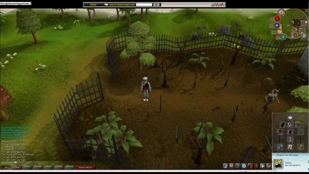 Cutting Down Yew Logs