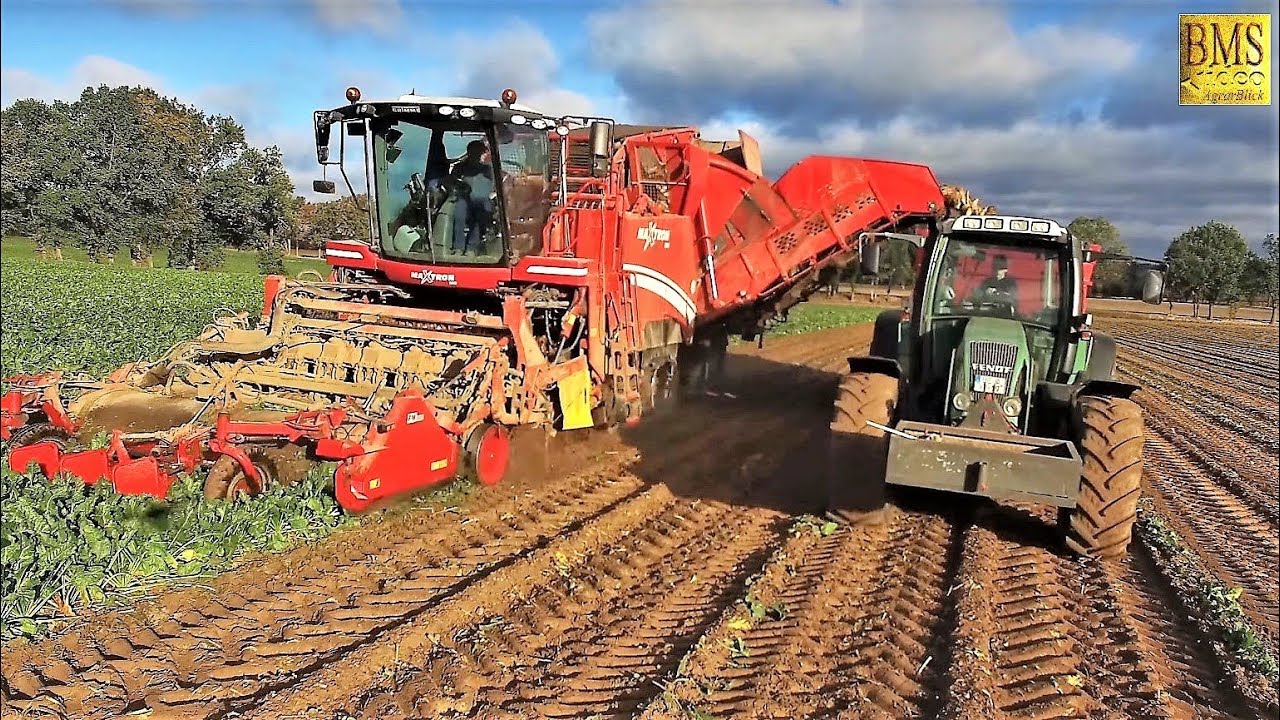 Rüben roden - Weizen drillen / Rübenernte 2018 in Niedersachsen - Aussaat für 2019 beet harvest
