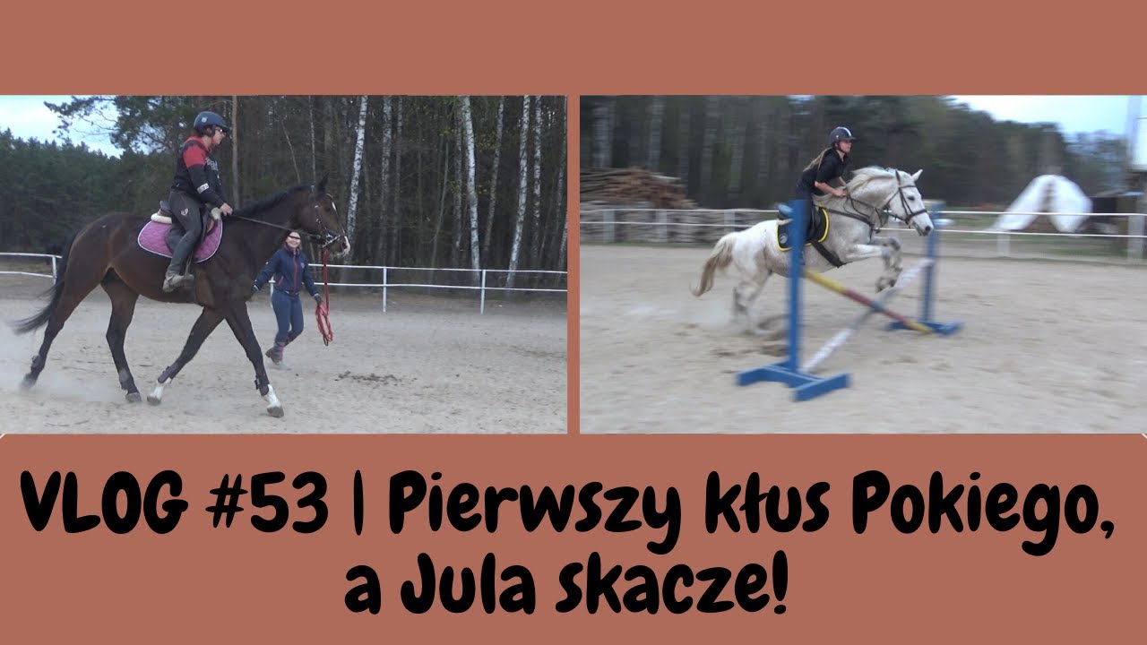 VLOG #53 | Pierwszy kłus Pokiego, a Jula skacze!