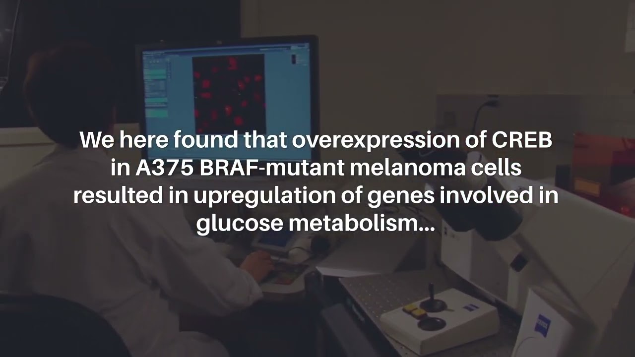 GSK3&beta; Drives Resistance to Raf Inhibitors in BRAF-Mutant Melanoma | Oncotarget