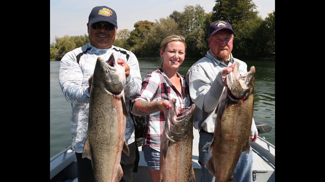 Sacramento River Fall Chinook Fishing 2014