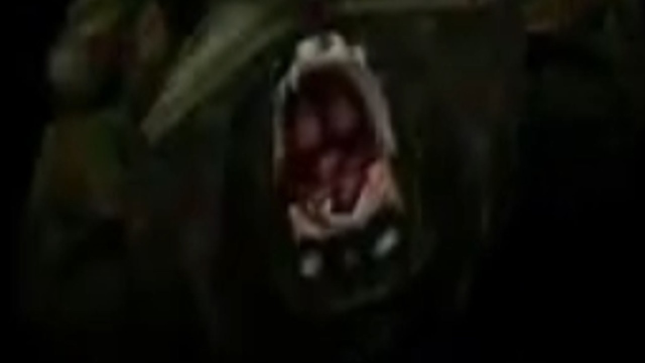 Resident Evil 1 Directors Cut: The Supercut.