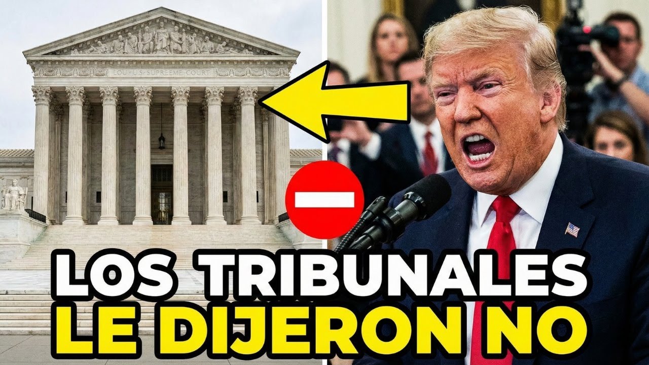 Trump choca contra la Constitución: los tribunales le cierran el paso