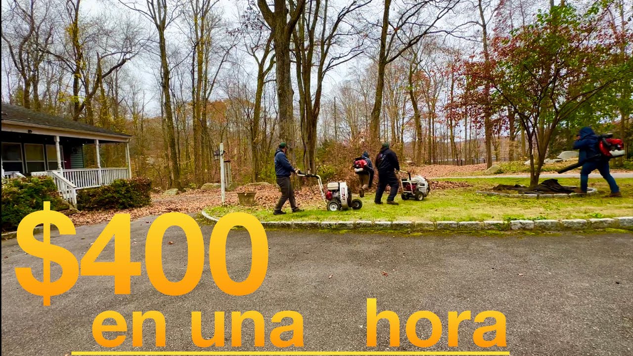 🚨Cuanto cobrar por limpieza de hojas? 🍃