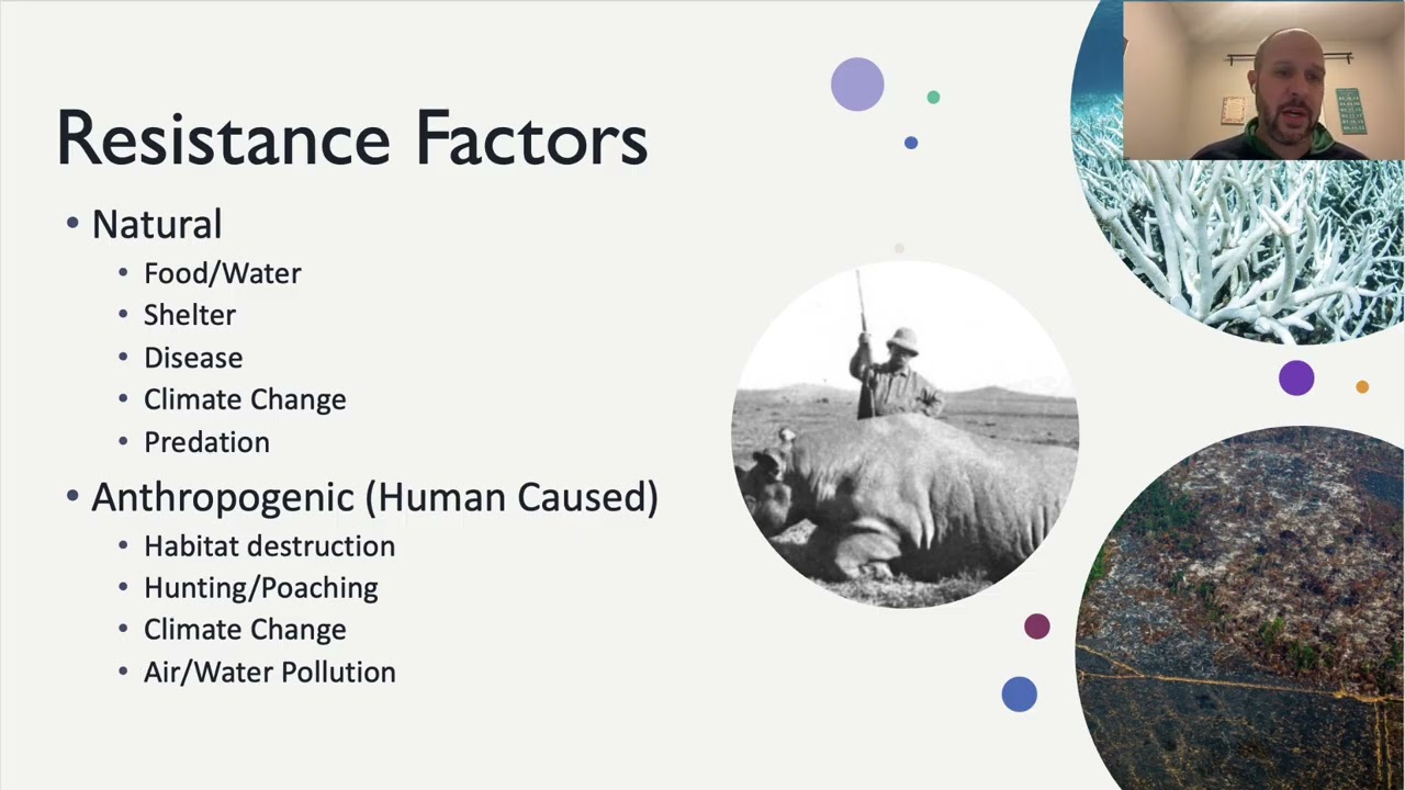 Animal Population Dynamics