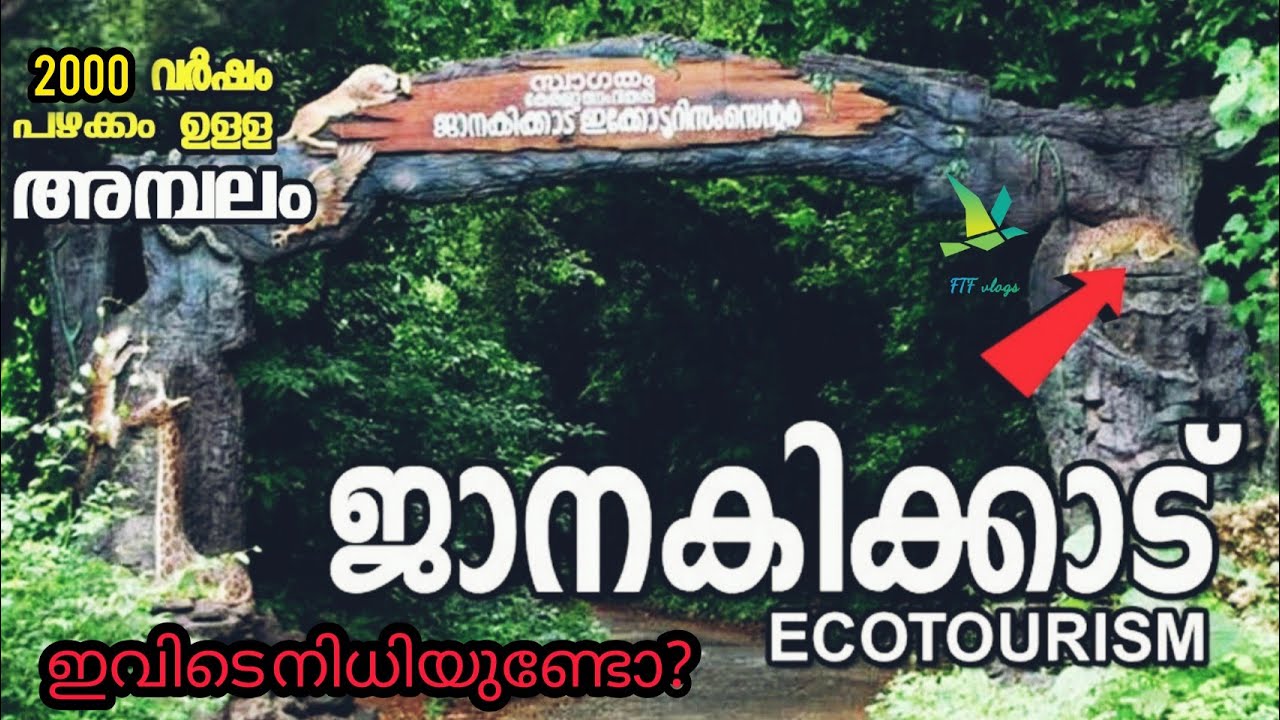 ജാനകിക്കാടിനെക്കുറിച്ച് അറിയേണ്ടതെല്ലാം #Janakikkadu# ജാനകിക്കാട്#Travel vlog#kerala