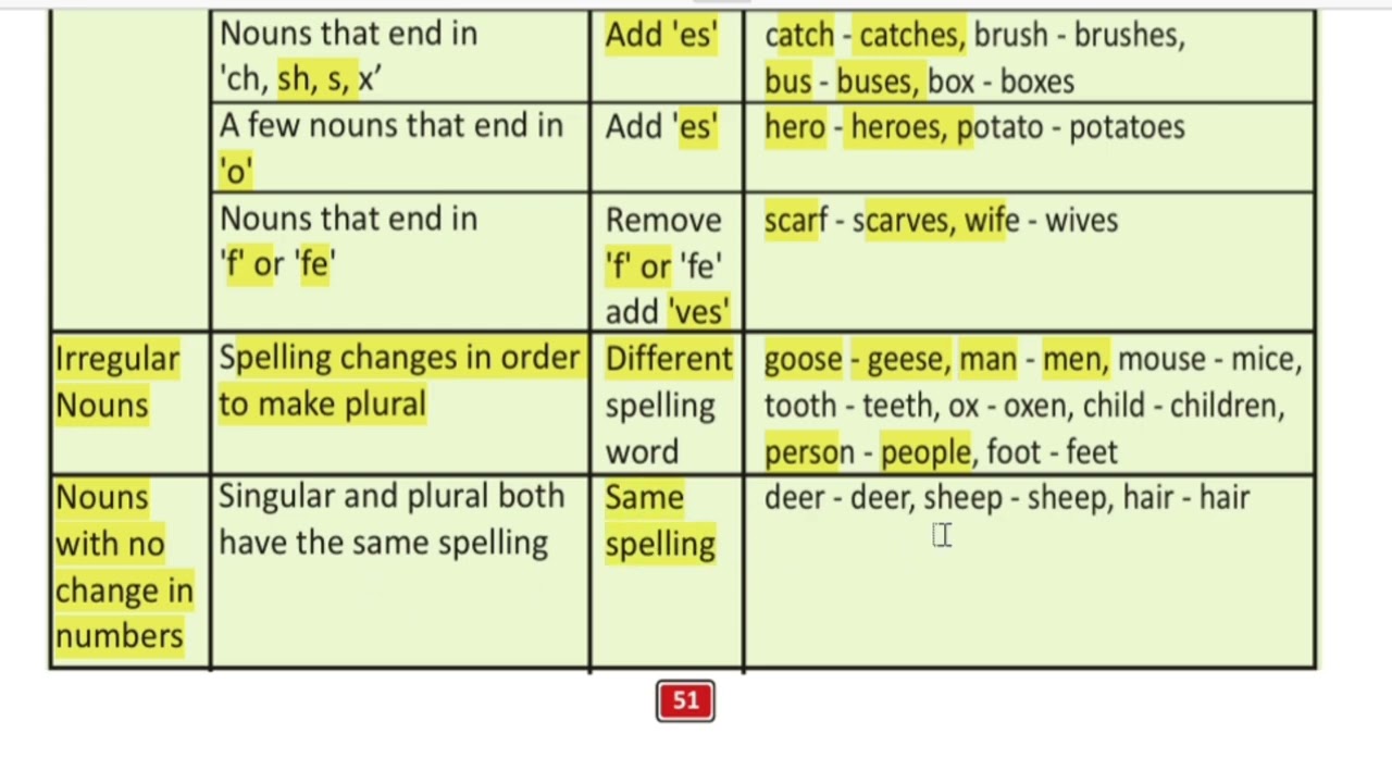English Class 6 | Unit 3 Exercise 1 | Countable Nouns & Singular/Plural | Sindh Text Book Board