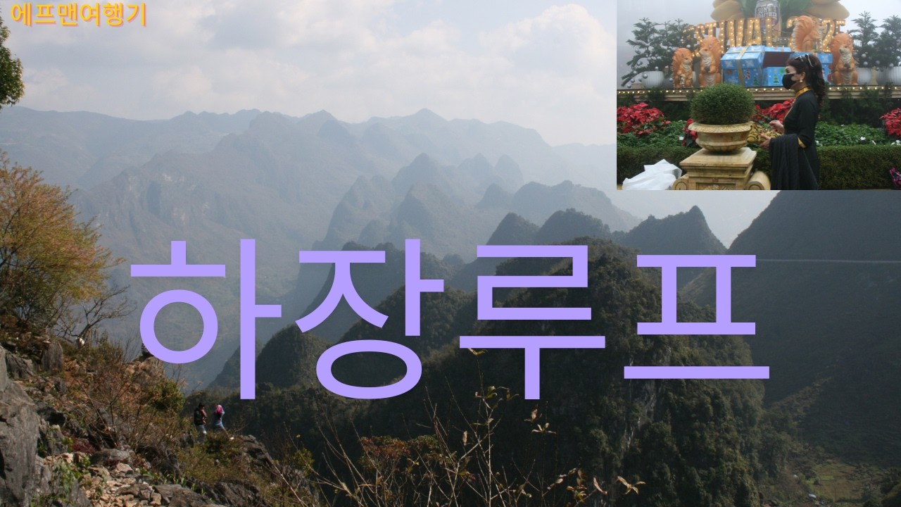 하장루프(메오박_하장)