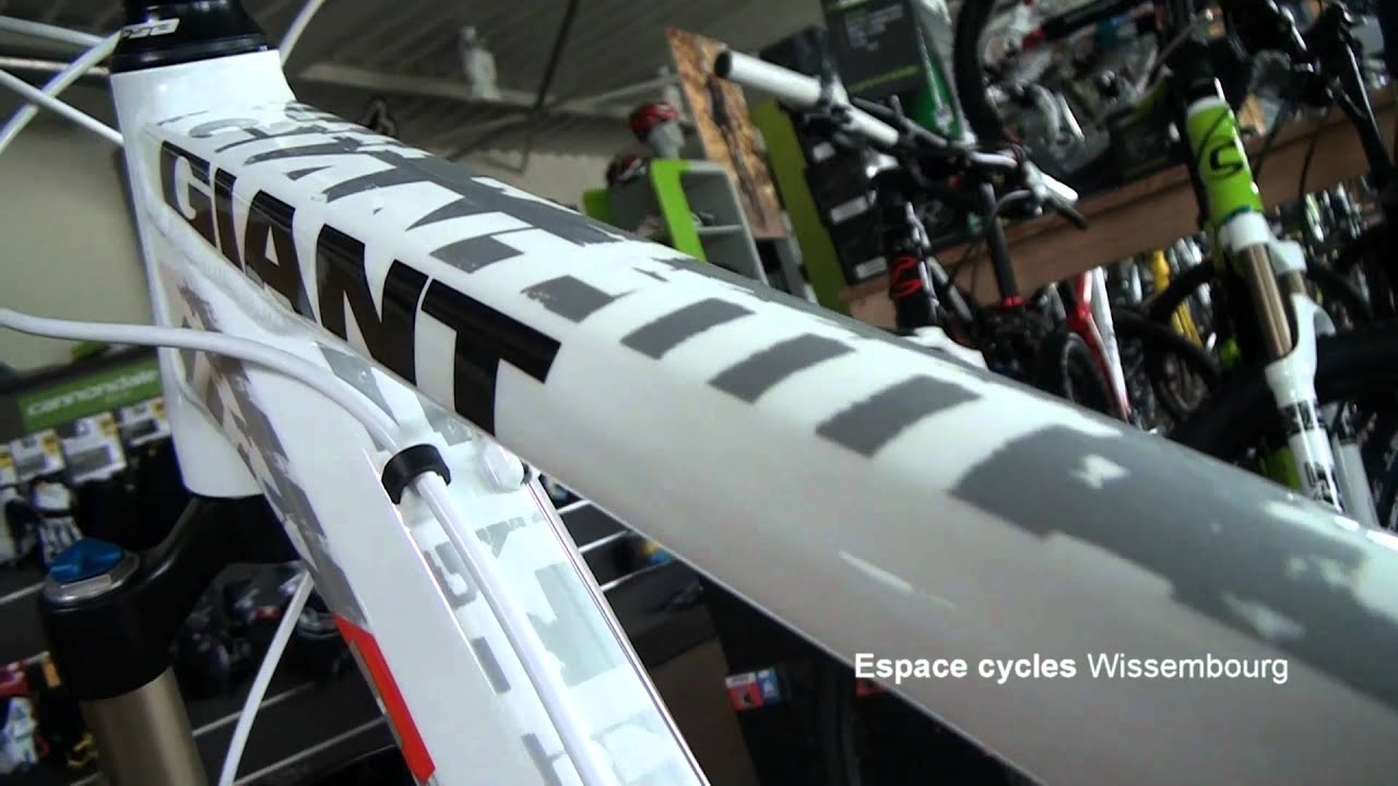 GIANT REIGN SL 2 - 2011