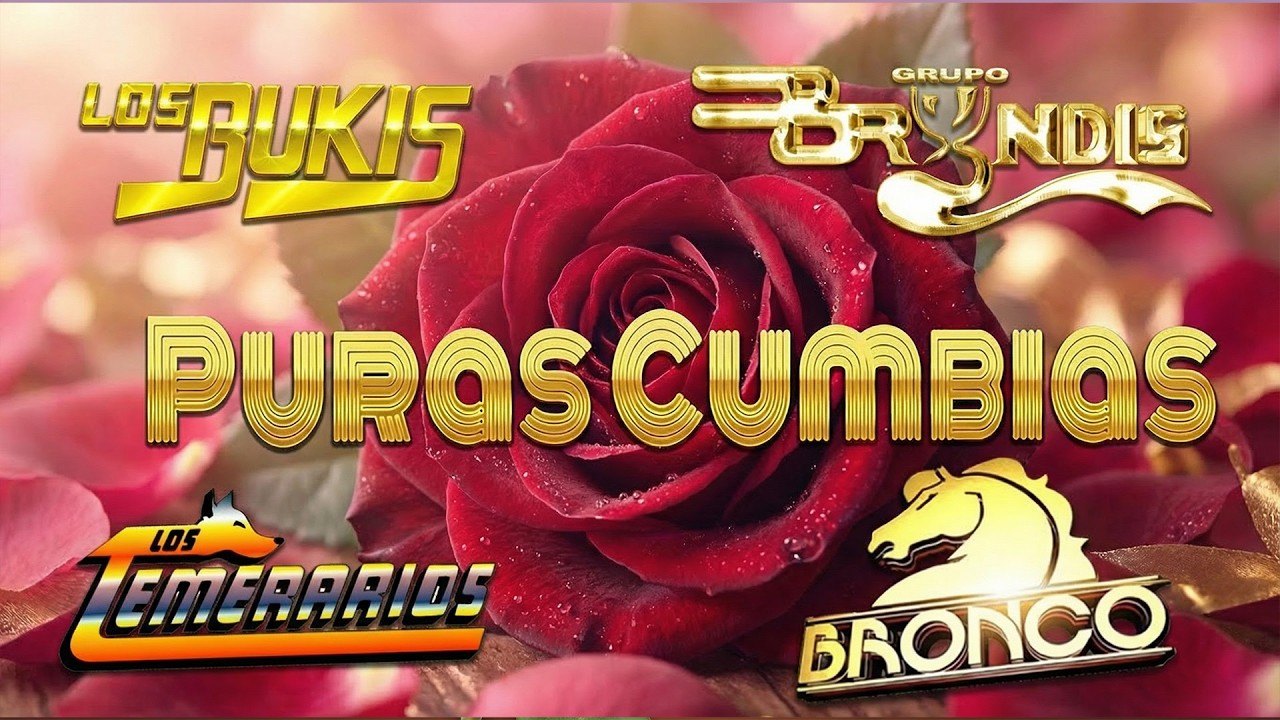 LOS TEMERARIOS, BRONCO, LOS BUKIS, GRUPO BRYNDIS  VIEJITAS ROMÁNTICAS DEL RECUERDO MIX