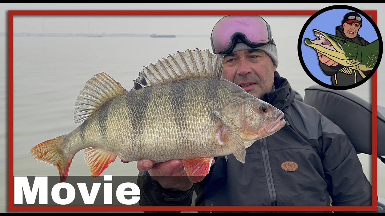🎣 SNOEK(BAARS) VISSEN  OP DE BODEM MET ZWARE LOODKOPPEN 🎥 vistechnieken snoekbaars | kunstaas #69