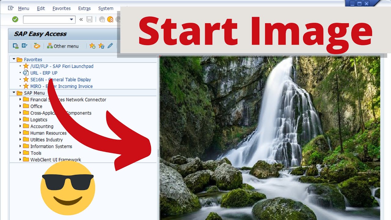 Совет SAP GUI: меняйте начальное изображение как профессионал