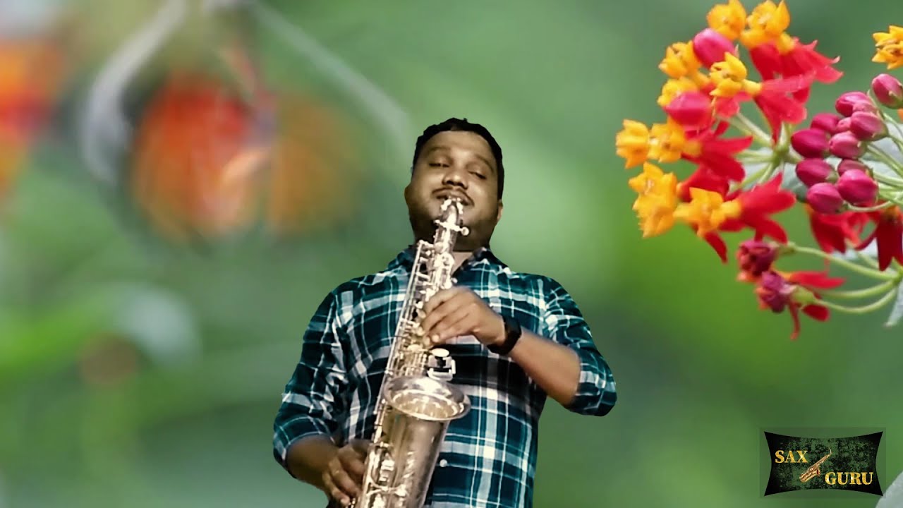 GEETHANJALI || ಗೀತಾಂಜಲಿ || ಸಿ ಬಿ ಐ ಶಂಕರ್||‌