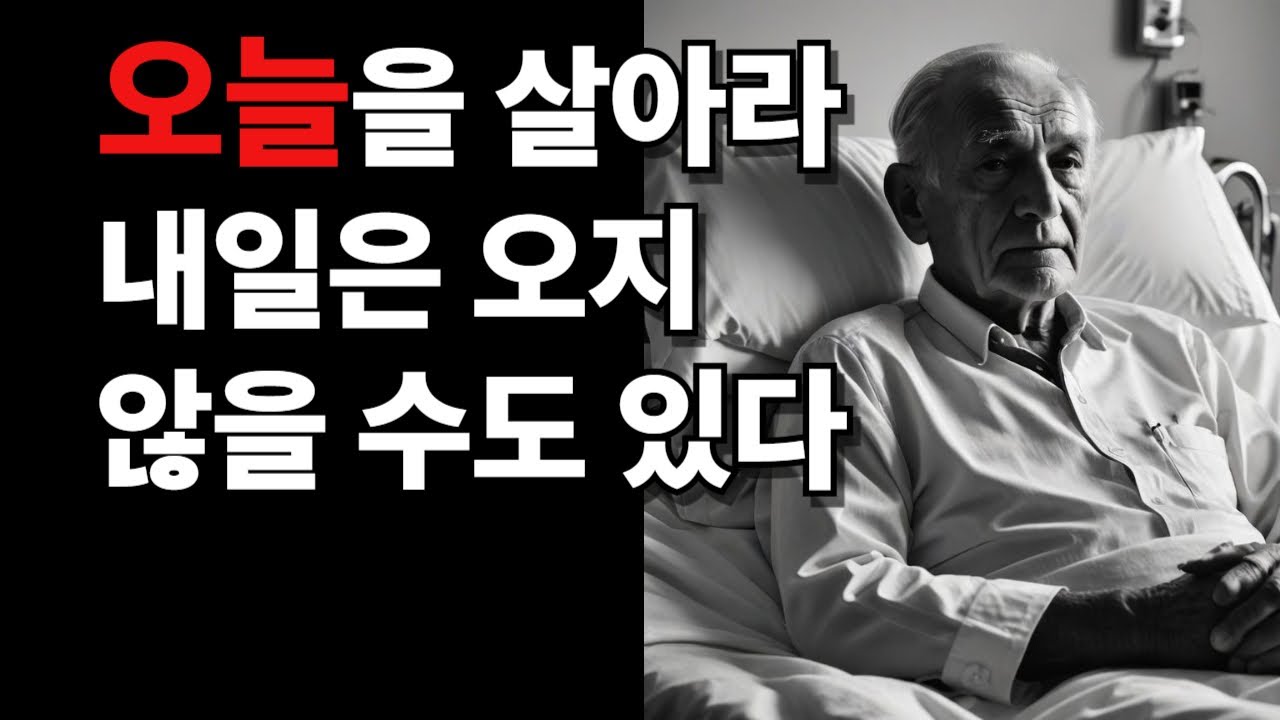 내일은 약속이 아니다 — 쇼펜하우어가 남긴 인생의 진리
