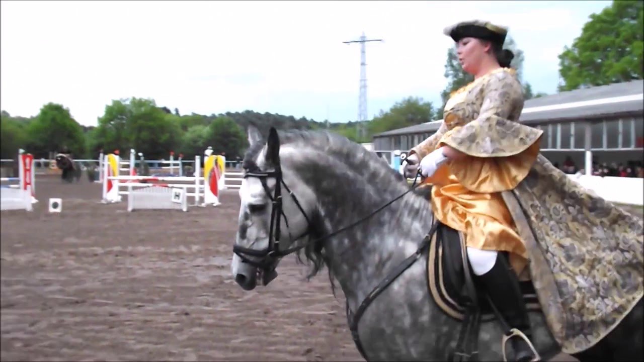 [HD] Barockturnier Miesau | Reitschule Torsten Milz | 15.Mai.2016